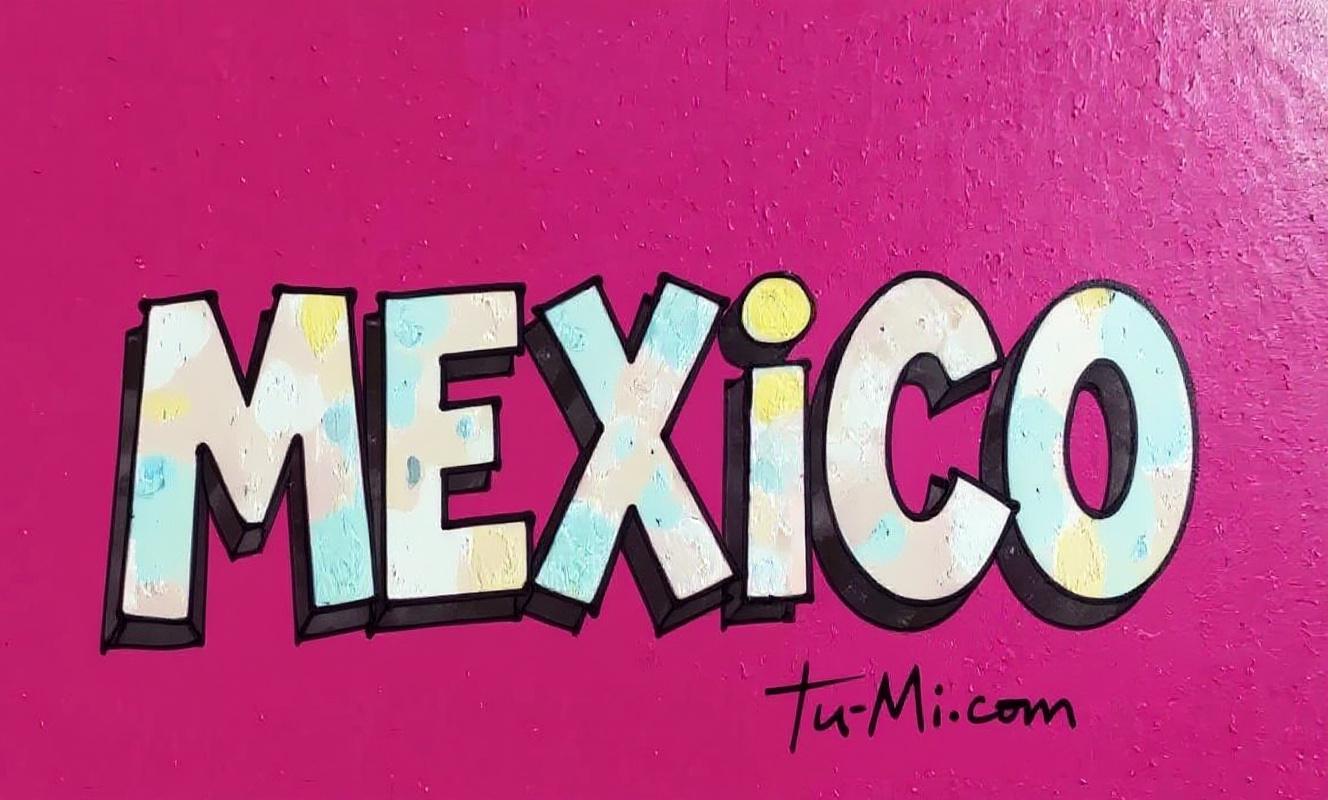 TRAVEL BOOKS MEXICO