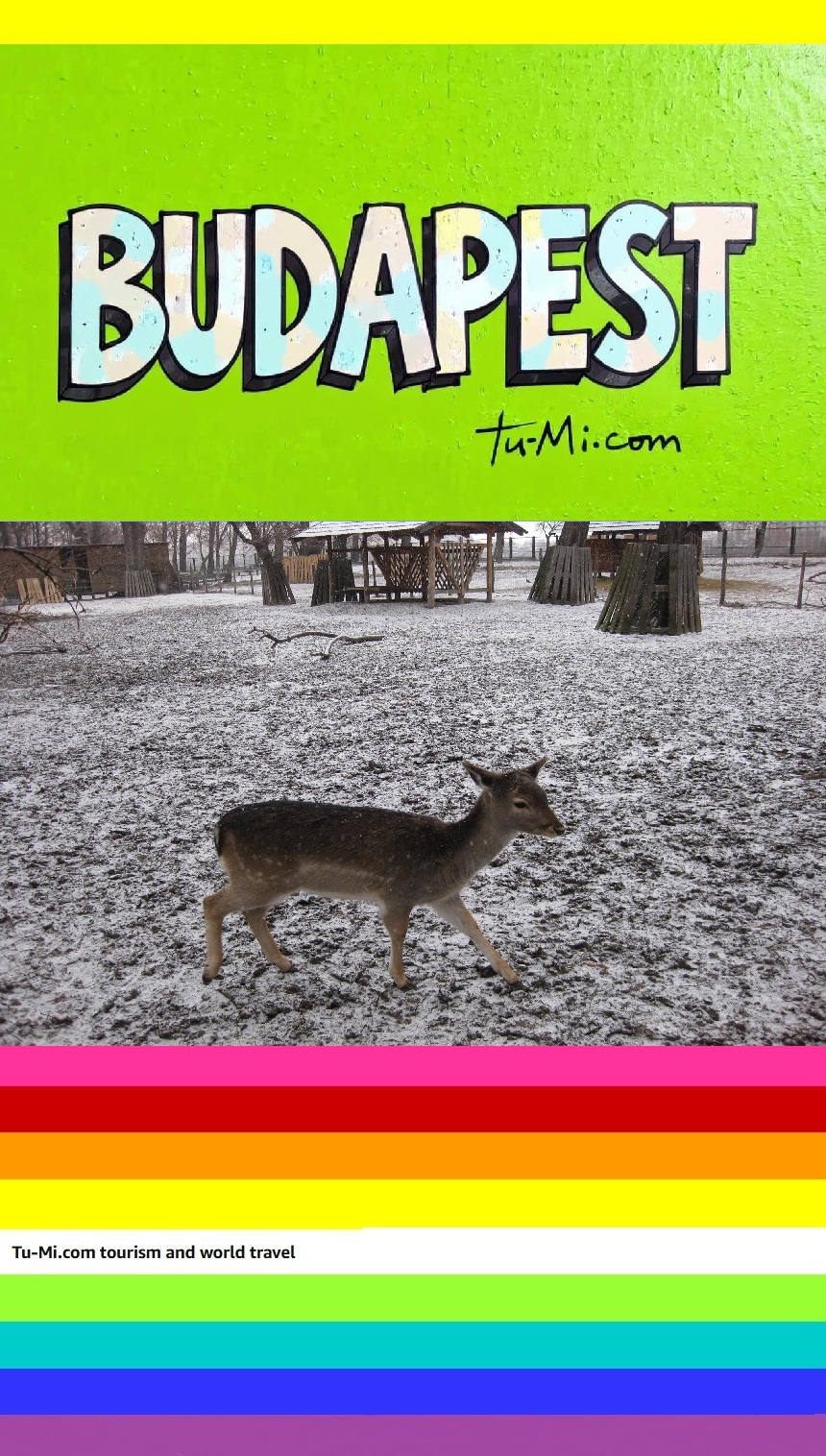 EBOOK