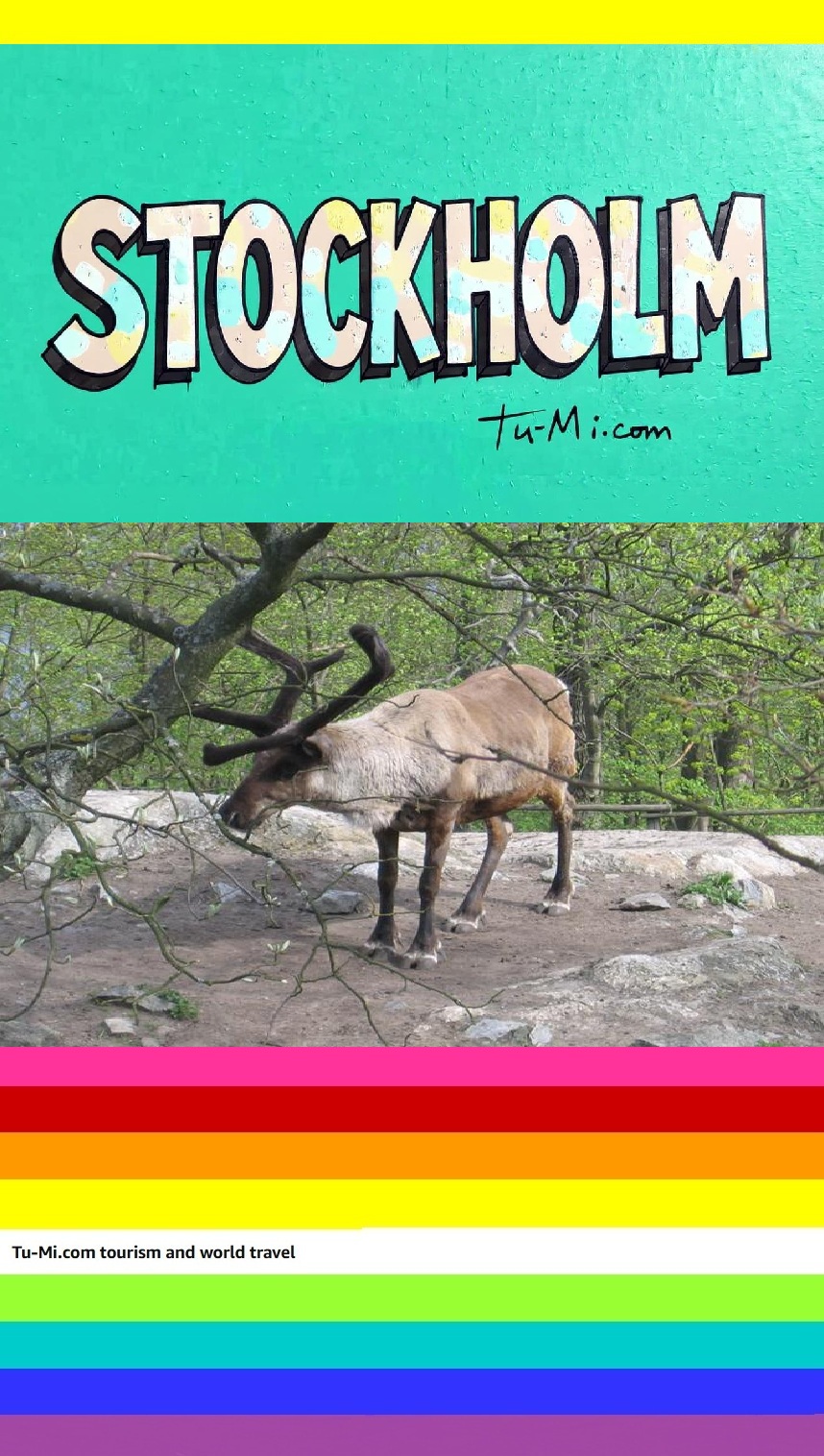 EBOOK